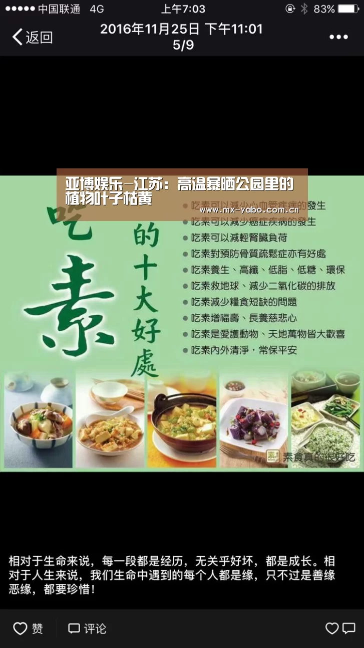 真人百家乐