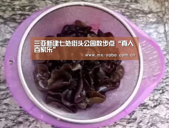 三亚新建七处街头公园散步点“真人百家乐”(图2) 亚博
