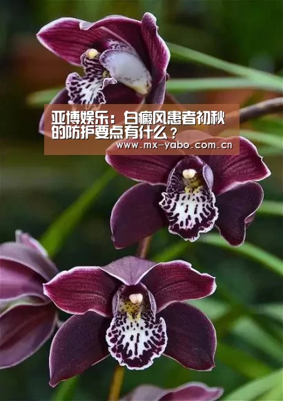 亚博体育官网