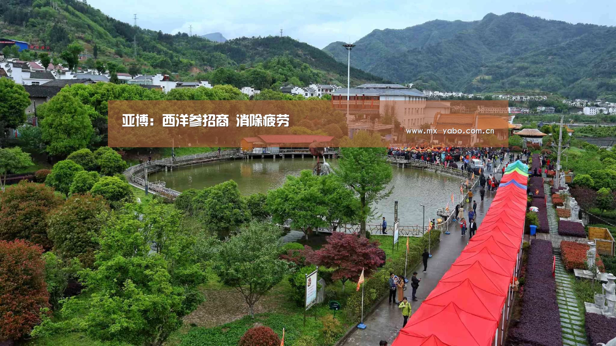 亚博:西洋参招商 消除疲劳(图2) 亚博