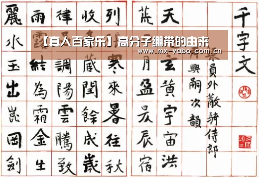 【真人百家乐】高分子绷带的由来(图1) 亚博